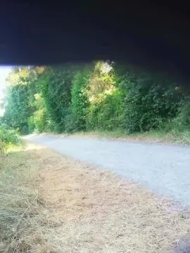 Cam4 Live Porn of bernadetadwt