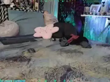Chaturbate Live Sex Cam of xaevynne