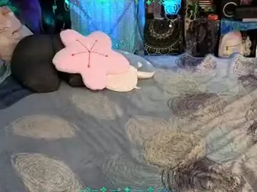 Chaturbate Adult Webcam of xaevynne