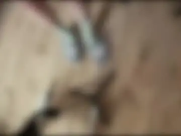 Chaturbate Best live sex cam show of yexes