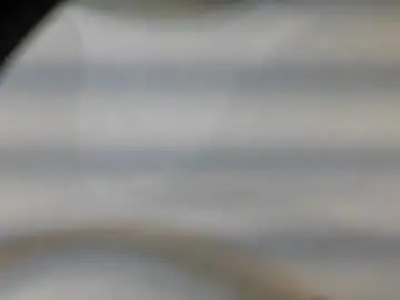 Chaturbate Best live sex cam show of tsbellaflor