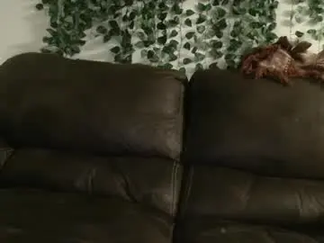 Chaturbate Adult Webcam of bigdicktrannynicole