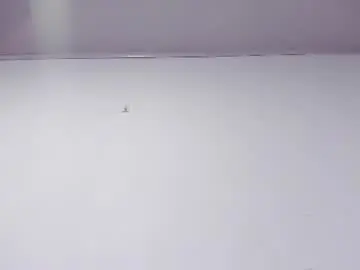 Chaturbate Sex Cam of nahomyrusell