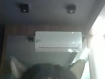 Chaturbate Free Porn Cam of skinnykittencam