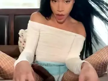 Chaturbate Live Porn of dynasty313