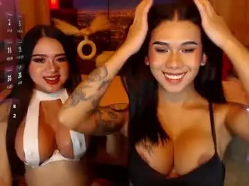 Chaturbate Live Sex Cam of transpornidol