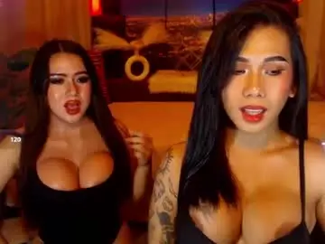 Chaturbate Live Porn of transpornidol
