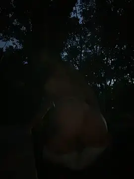 Stripchat Sex Chat of Mydreams69