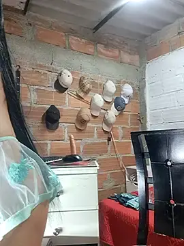 Stripchat Live Porn of LUCIANA_FOX_TS
