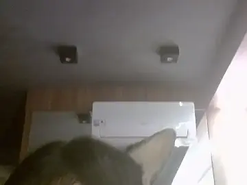 Stripchat Live Porn of SkinnyKitten